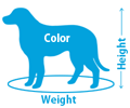 doodle sizes