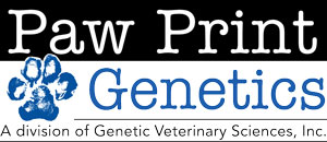 pawprint genetic testing